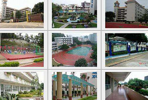 平安校園綜合視頻監(jiān)控方案(網(wǎng)絡(luò))